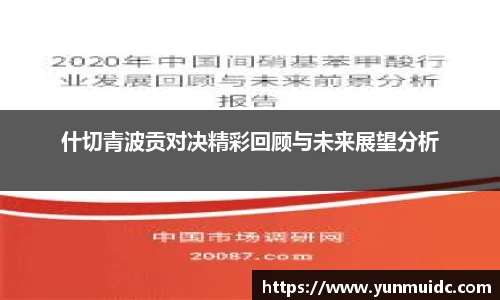 什切青波贡对决精彩回顾与未来展望分析