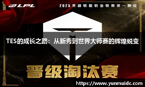 TES的成长之路：从新秀到世界大师赛的辉煌蜕变